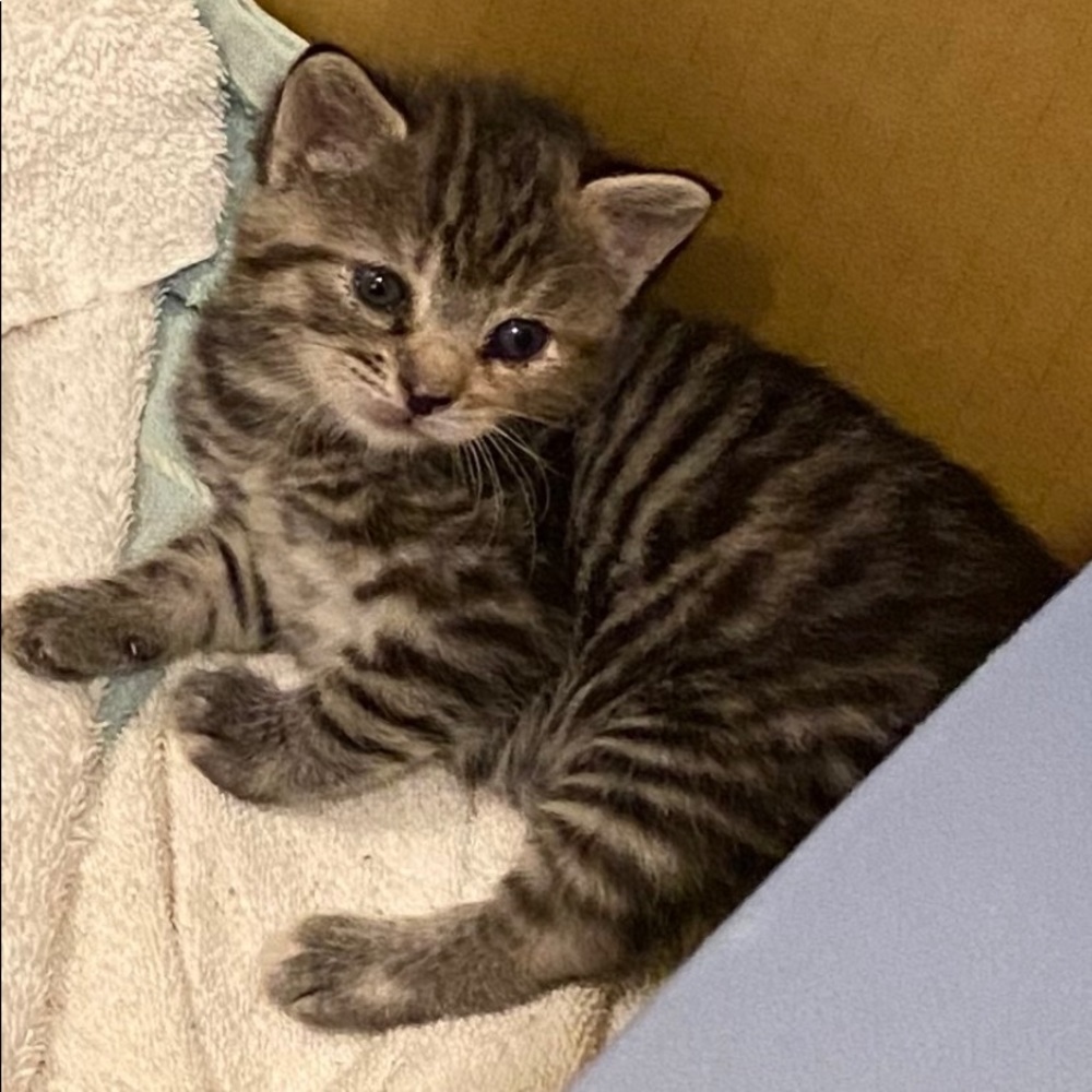 Meet your Posher, Michael